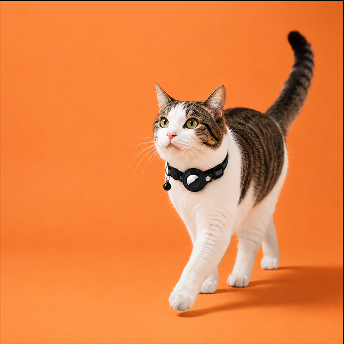 AirTag Safety Collar for Cats & Dogs
